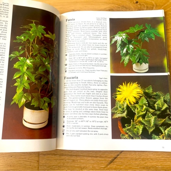 How to Grow Healthy House Plants Book - Picture 5 of 7
